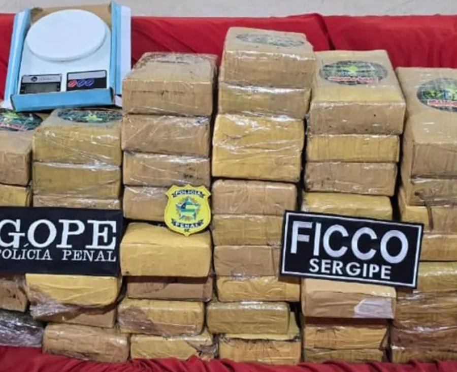 Operação Fictus: Polícia Federal cumpre mandados em Alagoas contra tráfico interestadual e lavagem de dinheiro