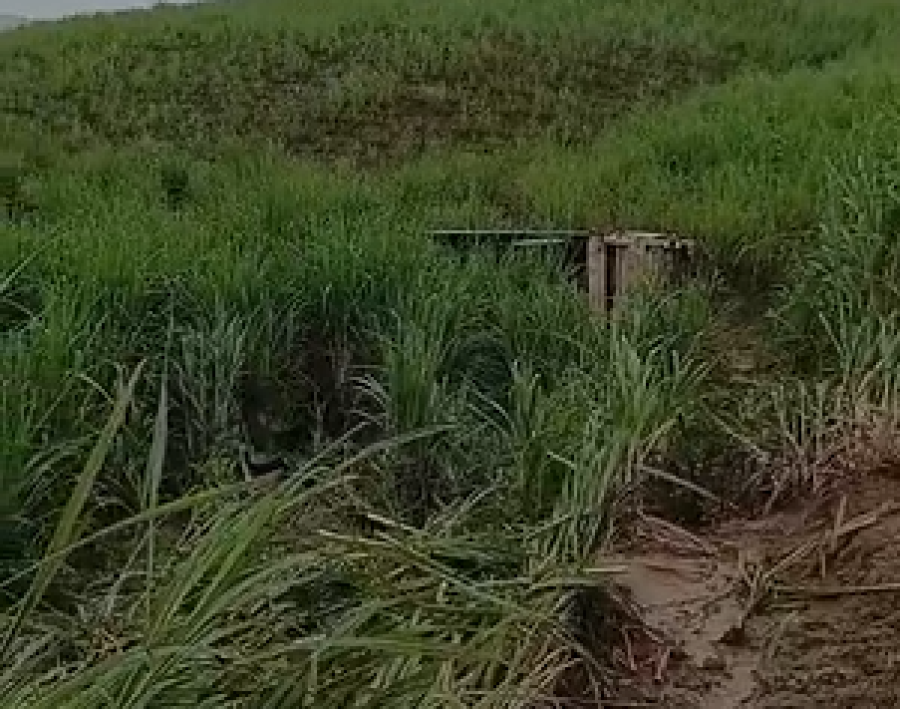 Caminhão de lixo da Prefeitura de Jacuípe tomba na AL-105 e deixa um ferido em Porto Calvo