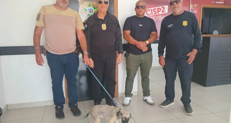 Homem é preso em Teotônio Vilela após furar olho de próprio cão e ameaçar vizinhos