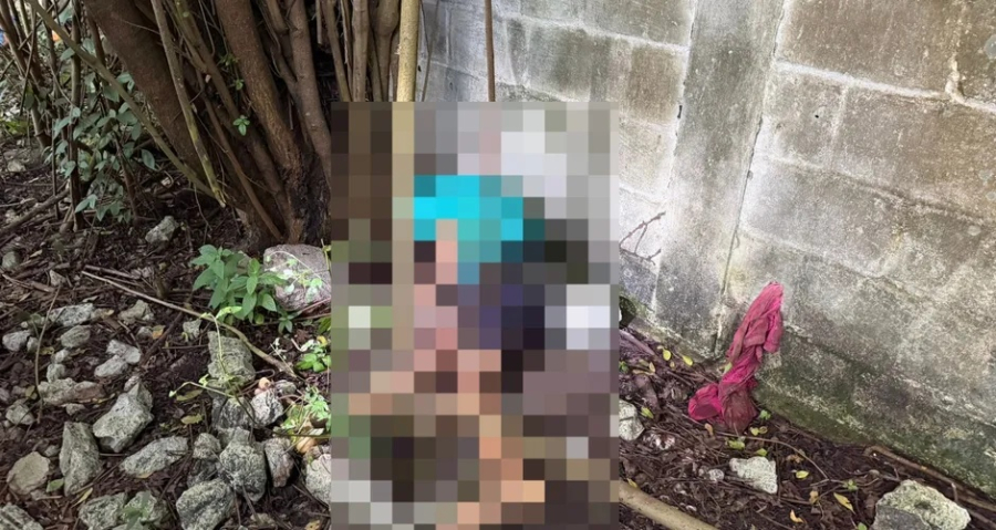Adolescente de 17 anos é encontrado morto com tiro na cabeça no Distrito Industrial, em Maceió