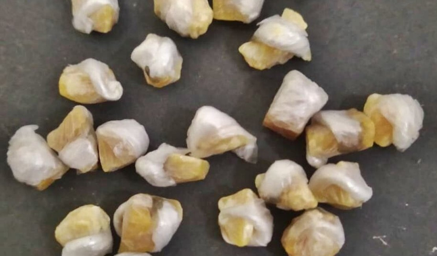 Homem é preso por tráfico de drogas no bairro Pitanguinha após ser abordado fumando maconha