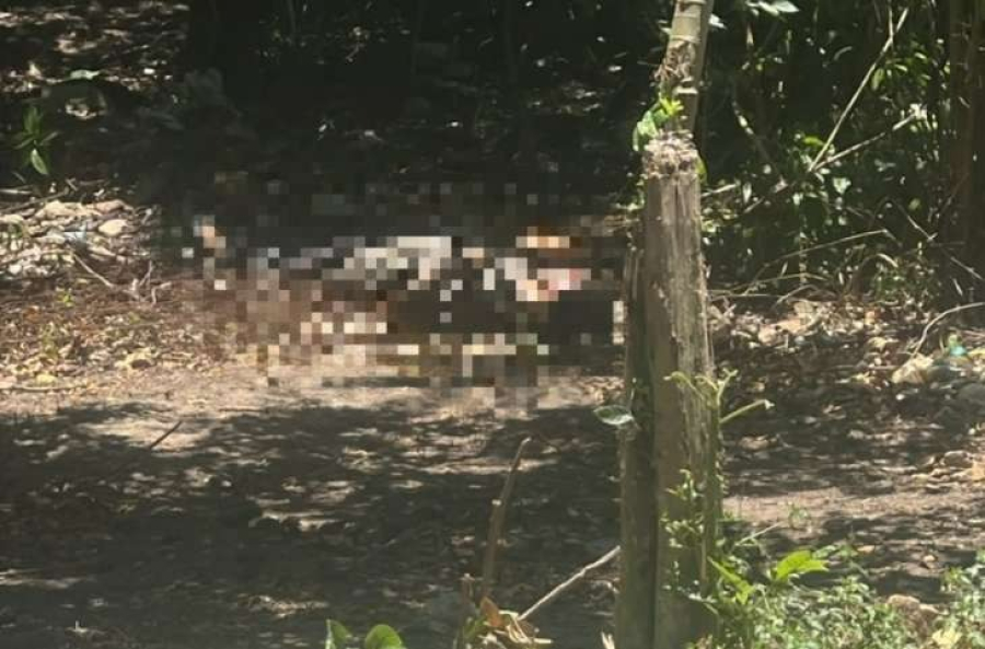 Corpo com sinais de violência é encontrado em área de mata na Grota da Amizade, no Barro Duro, em Maceió