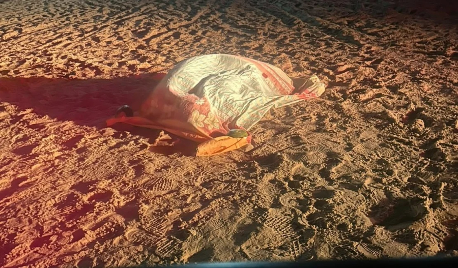 Homem de 36 anos é morto a facadas ao tentar apartar briga no Pontal do Peba, em Piaçabuçu