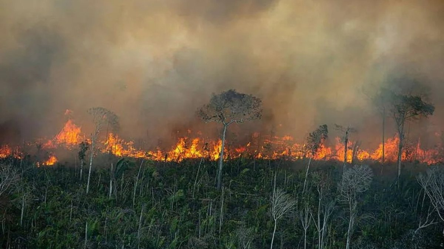 Ibama aplica R$ 2 milhões em multas por queimadas ilegais que encobriram Manaus de fumaça