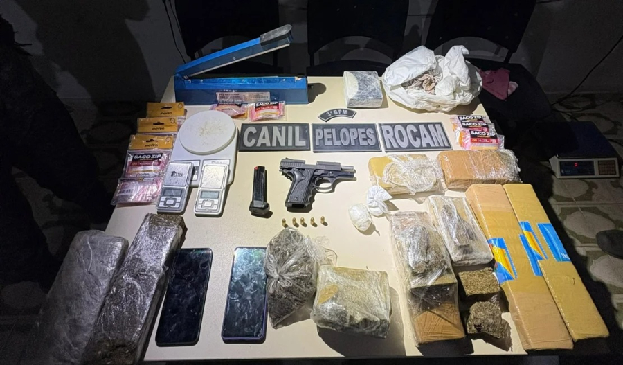 Ação policial com cão farejador apreende mais de 7,6 kg de drogas e pistola escondidos em parede de barraco em Arapiraca