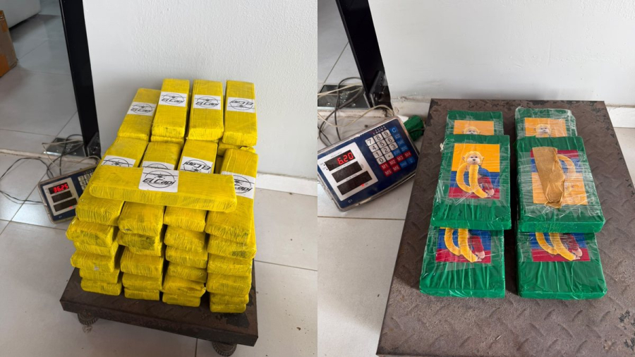 Operação integrada apreende 75 quilos de drogas e 1 mil cigarros eletrônicos em Arapiraca